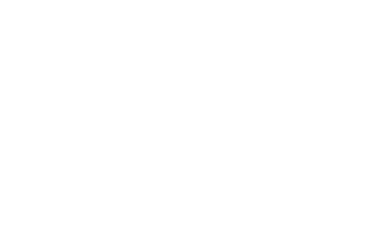 FC Dallas Label