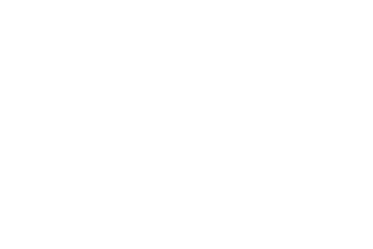 North Texas Wind Symphony Label