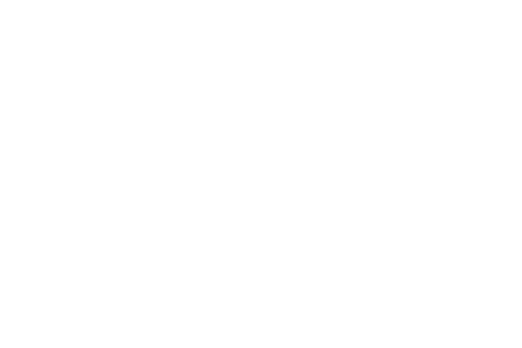 UNT Label